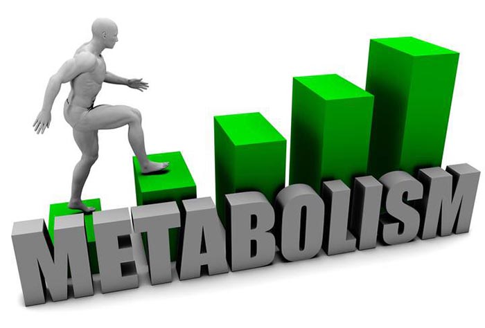 Metabolizmayı Hızlandırma Yolları